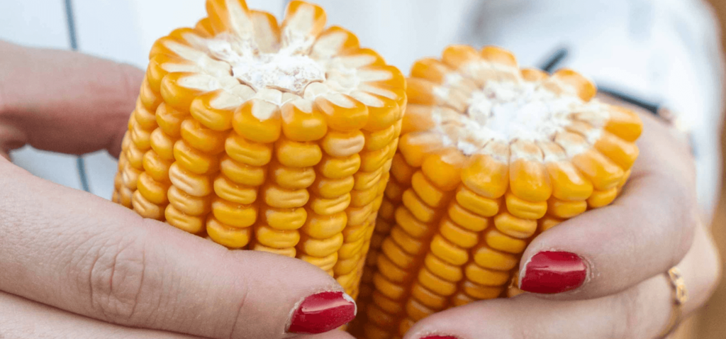 advogado-agronegocio-mato-grosso-mt