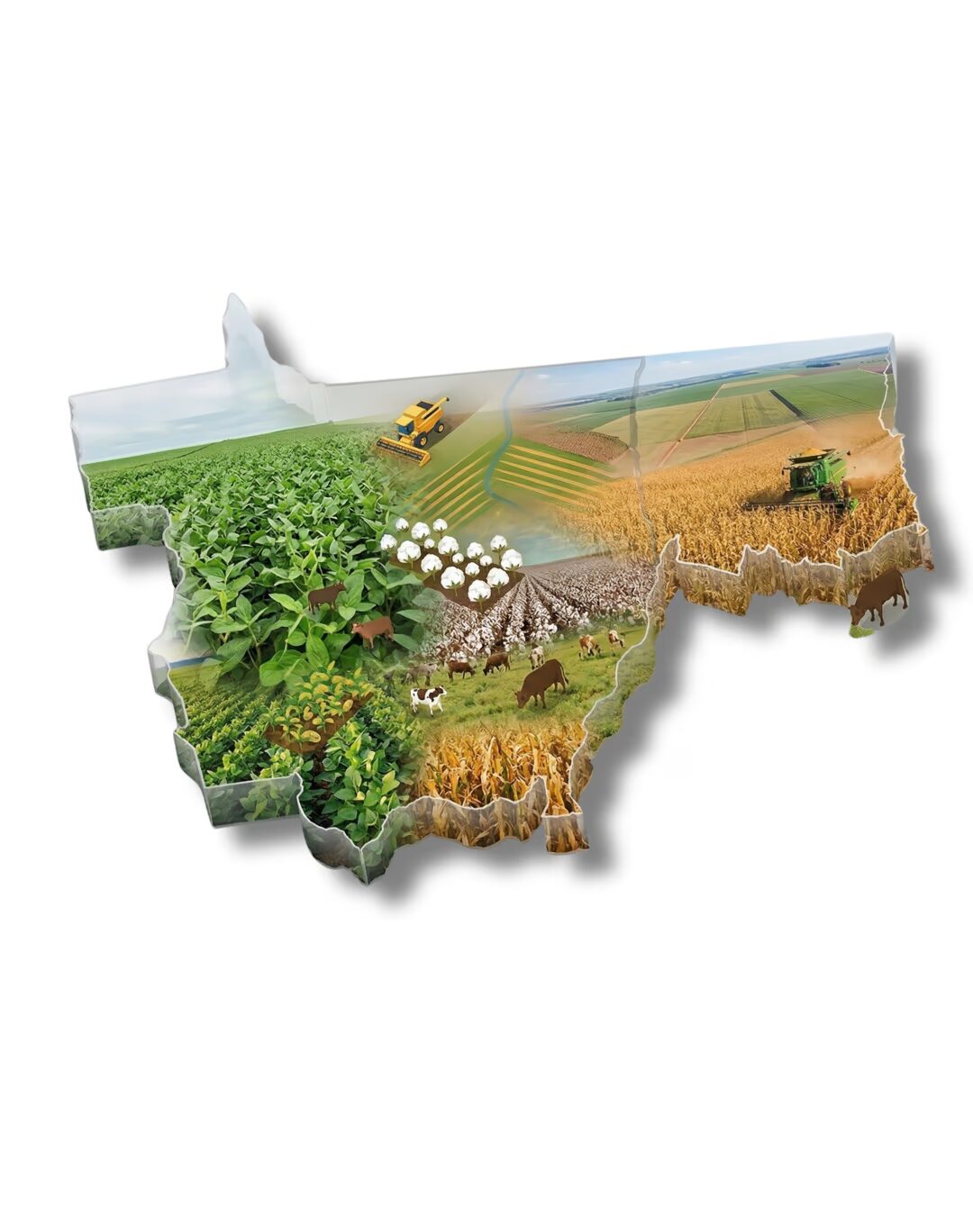 advogado-agronegocio